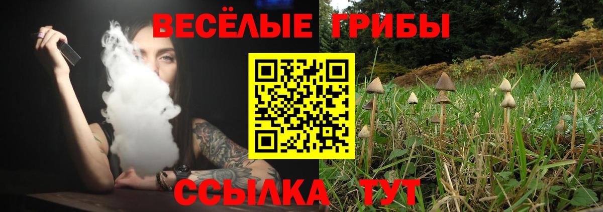 Галлюциногенные грибы Magic Shrooms  Вход с VPN  Сафоново 